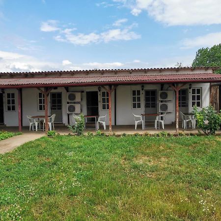 Casa Ioana Hotel Costinesti Luaran gambar